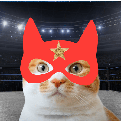 Masked Cat Wrestler