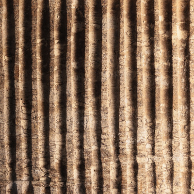 Echoes of Life