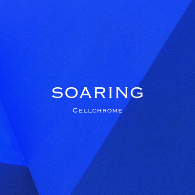 SOARING