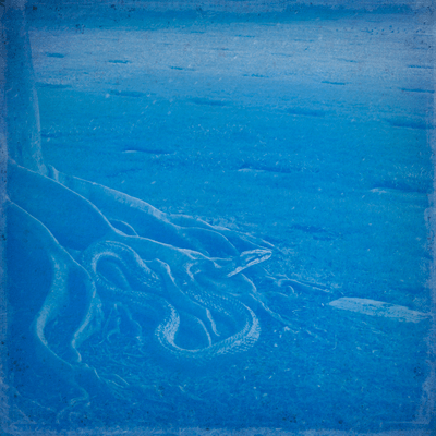 Cyanotype