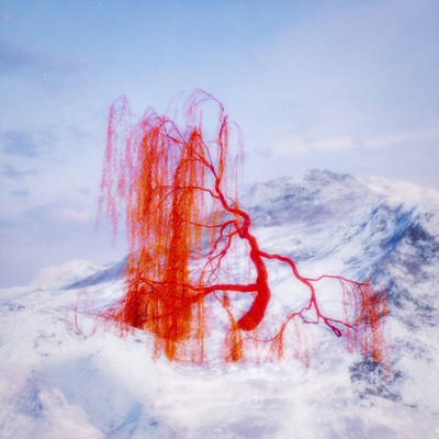 really rich (feat. Lonestar Void)