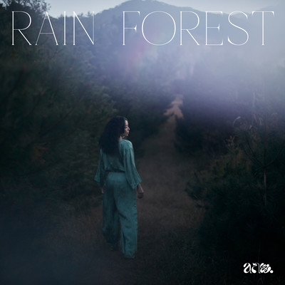 Rain Forest