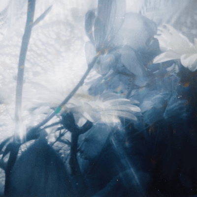 Beautiful sonata (to You too) .