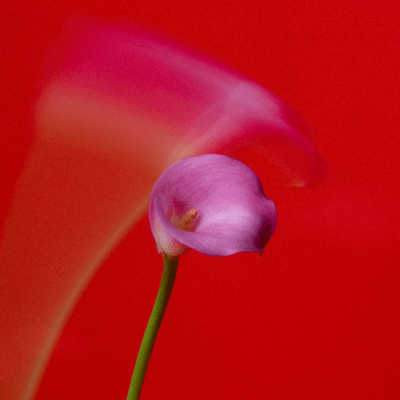 Fantasia (Jazzy soul mix)