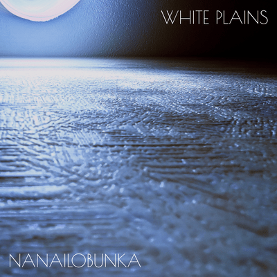 WHITE PLAINS