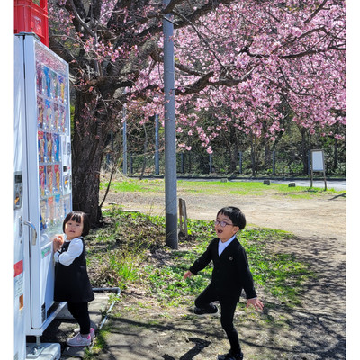 Pilgrim of the Blossoms