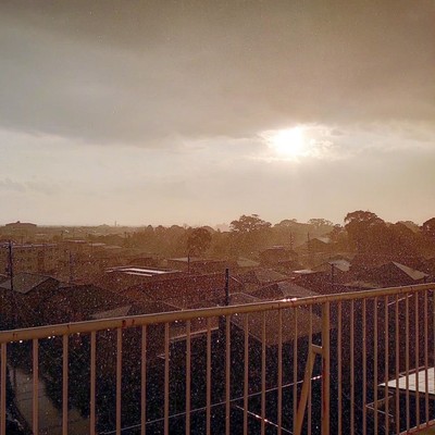Rain