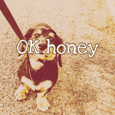 OK honey