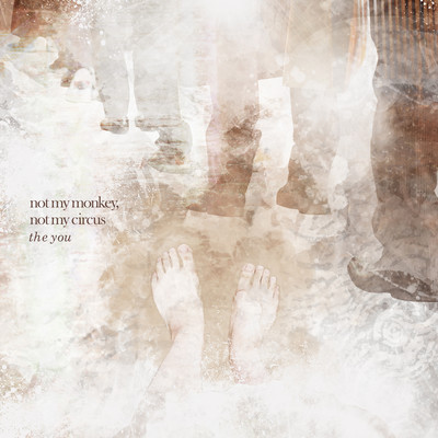 not my monkey , not my circus