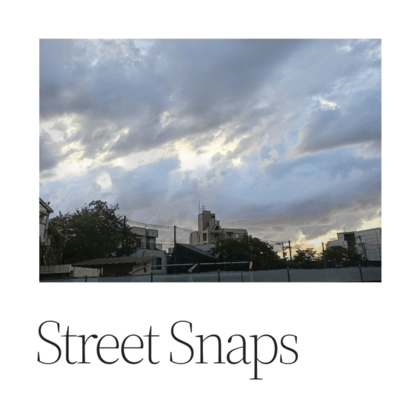 Street Snaps (Remix)