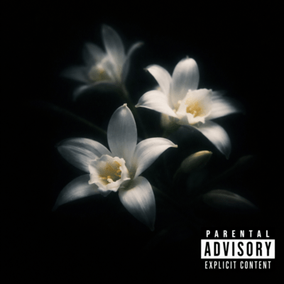 Vanilla (feat. SHAGZ)