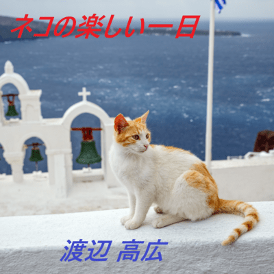 A fun day for cats