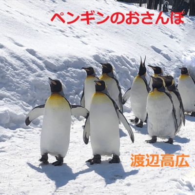 Penguin Walk
