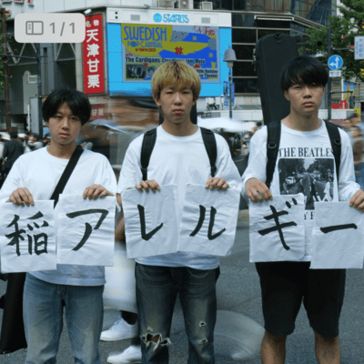 ineallergy (1st DEMO)