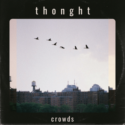 crowds