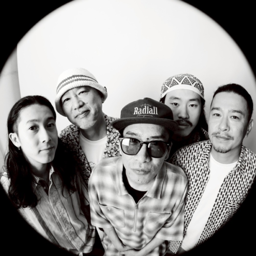 MELLOW MOOD BAND
