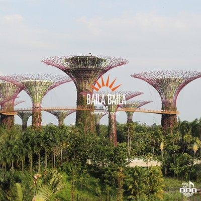 BAILABAILA15 More and More