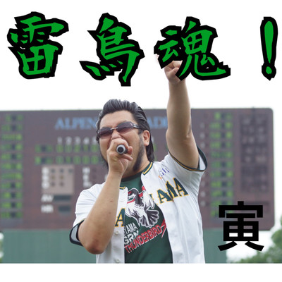 Thunderbird's spirits