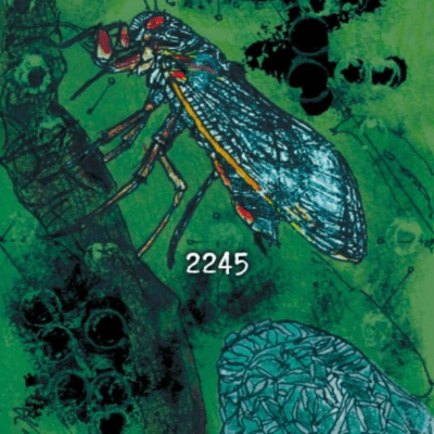 2245