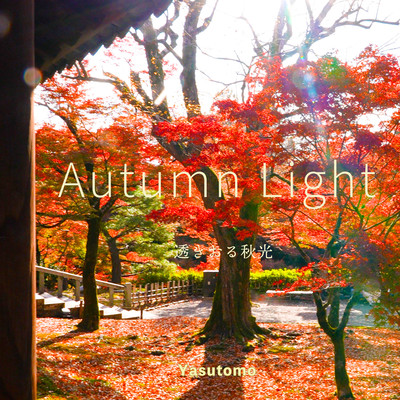 Autumn Light
