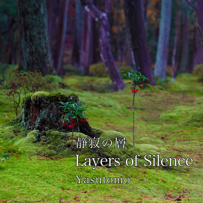 Layers of Silence