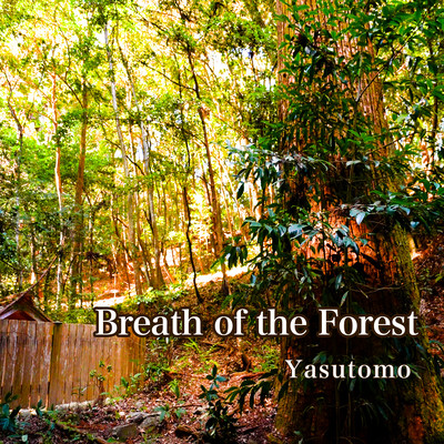 Breath of the Forest