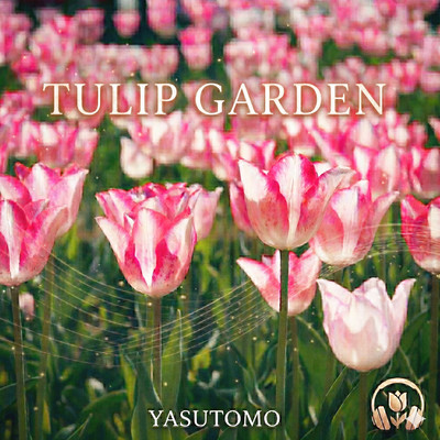 Tulip Garden