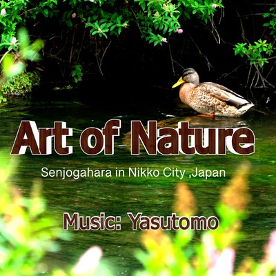 Art of Nature