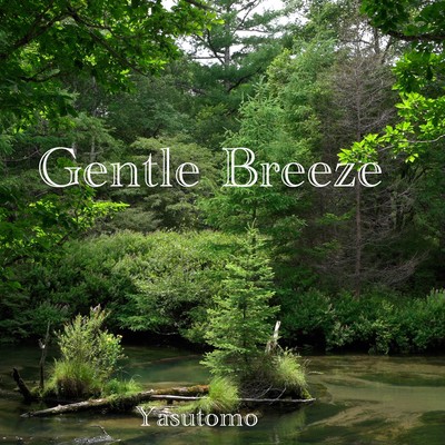 Gentle Breeze