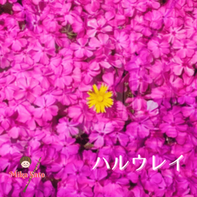 Spring longing "Haru-urei"