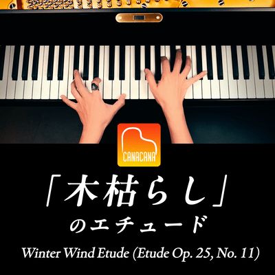 Winter Wind Etude, Etude Op. 25, No. 11