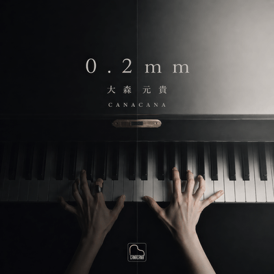 0.2mm (Piano Cover)