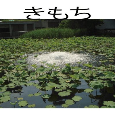 kimochi
