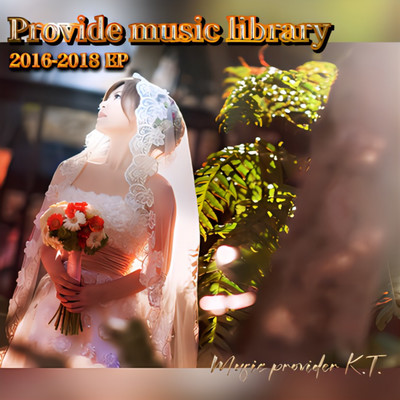 Provide music library I