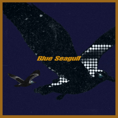 Blue Seagull