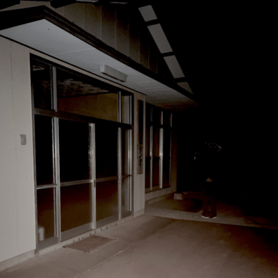 The X-Files Song/Edible Girl