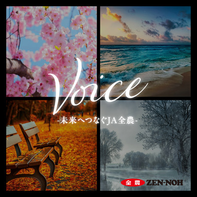 Voice