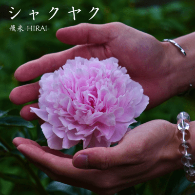 Peony