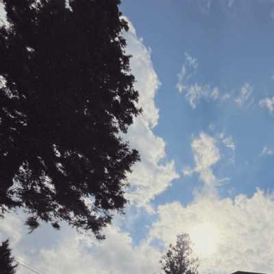 Alone