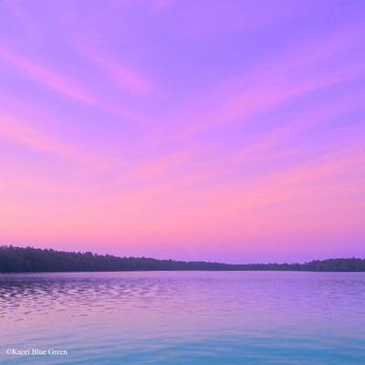 Lavender Over Water