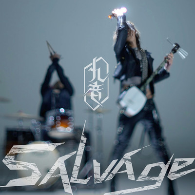 salvage