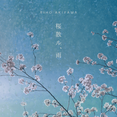 Scattering cherry blossoms in the rain