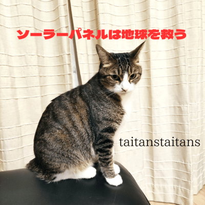 Solar panels save the planet