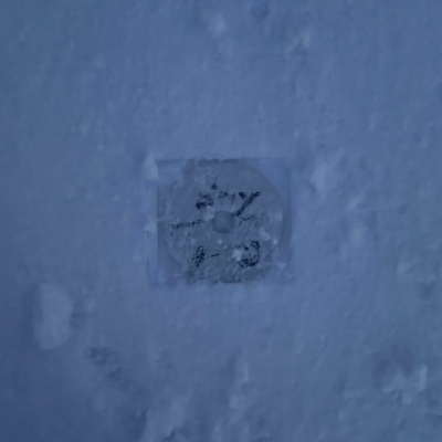 Stay (feat. hypcape87i & BECK=ANOHIMIZ)