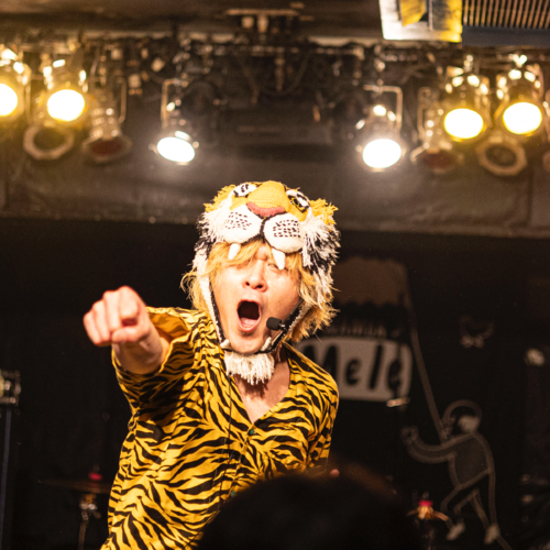 Tiger Goodman