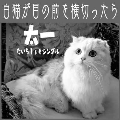 When a white cat crosses in front of me