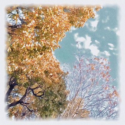 beautiful landscapes in natural settings