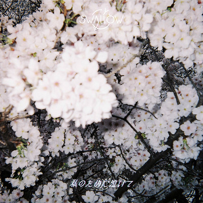 Watashi no Tame ni Naite