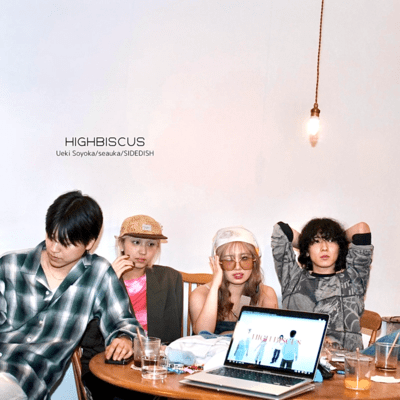 HIGH BISCUS