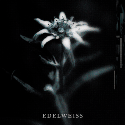 EDELWEISS